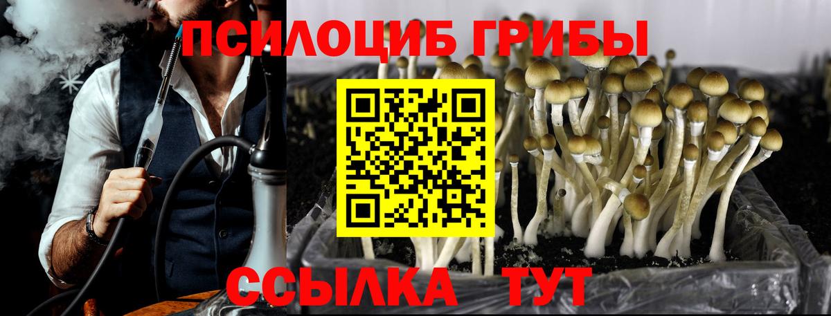 Псилоцибиновые грибы прущие грибы  Вход с VPN  Азнакаево 